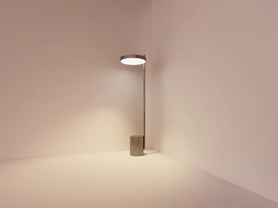 Modern Minimalist Floor Lamp With Metal Pole And Round Head For Indoor Lighting 3d model