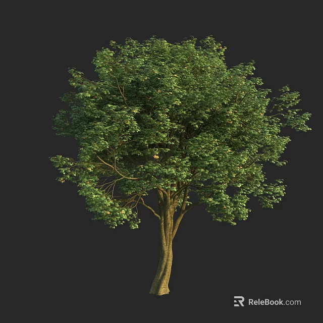 Lush Green Arbor With Dense Foliage Brown Trunk And Natural Form 3d model 