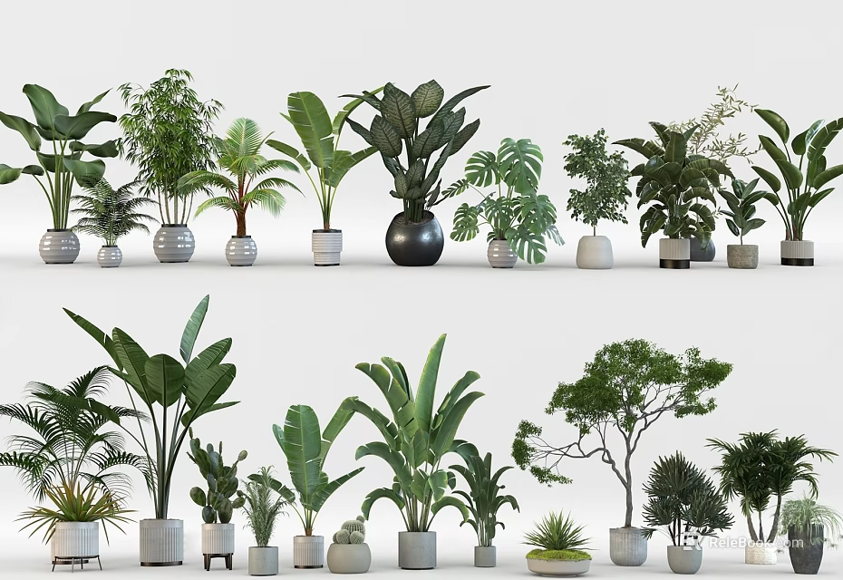 Variety of Green Leafy Bonsai Potted Plants with Different Ceramic Pots for Indoor Decoration 3d model 