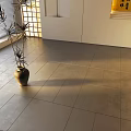 Modern Indoor Floor Tiles With Natural Light And Decorative Vase In Spacious Area