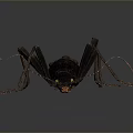 Detailed Black Insect With Long Antennae And Yellow Eyes On Dark Background