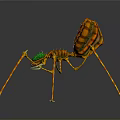 3D Designed Spider Model With Orange Yellow Body Green Eyes And Long Thin Legs