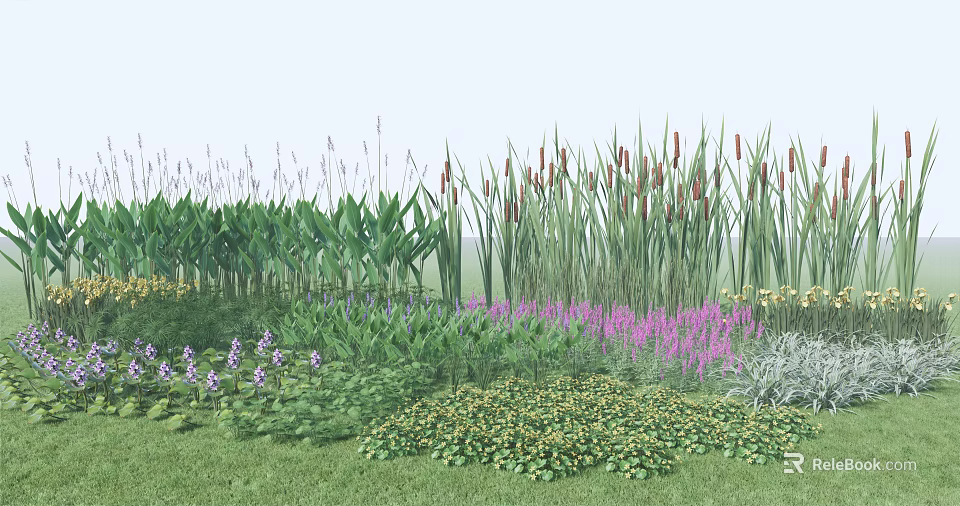 Aquatic Plants in Wetland Area Featuring Reeds Cattails Purple and Yellow Flowers 3d model 