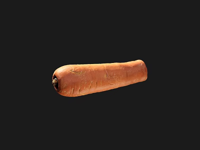 Organic Fresh Raw Carrot Vegetable With Natural Orange Color And Smooth Texture 3d model