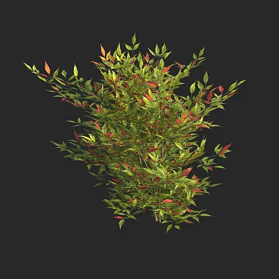 Lush Shrub With Vibrant Green And Red Leaves In Natural Growth 3d model