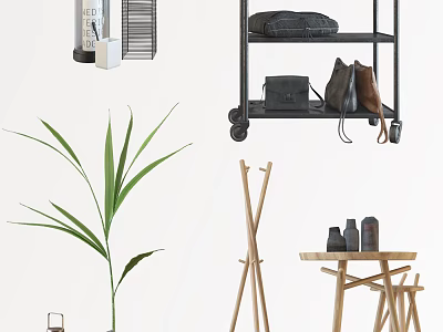 Decorative Ornaments Set With Green Plant Black Metal Shelf Wooden Coat Rack Table And Vases 3d model