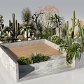 Modern Desert Plants Desert Plant Group 3d model