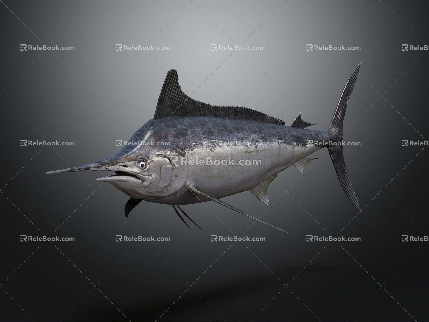 Modern Black Gunfish Dark Marlin 3d model