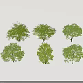 Six Green Arbor Trees with Lush Foliage for Landscape Design Projects 3d model