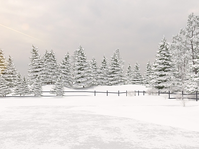 Modern snow winter 3d model