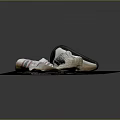 Stylish White Shoes With Red Blue Stripes Placed On Wooden Board Surface