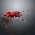Detailed Shiny Red Insect With Long Antennae And Glossy Body On Dark Background