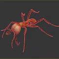 Close Up View Of Red And Yellow Ant With Long Legs On Dark Background