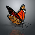 Vibrant Monarch Butterfly With Orange And Black Patterned Wings Spread On Gray Surface With Reflection