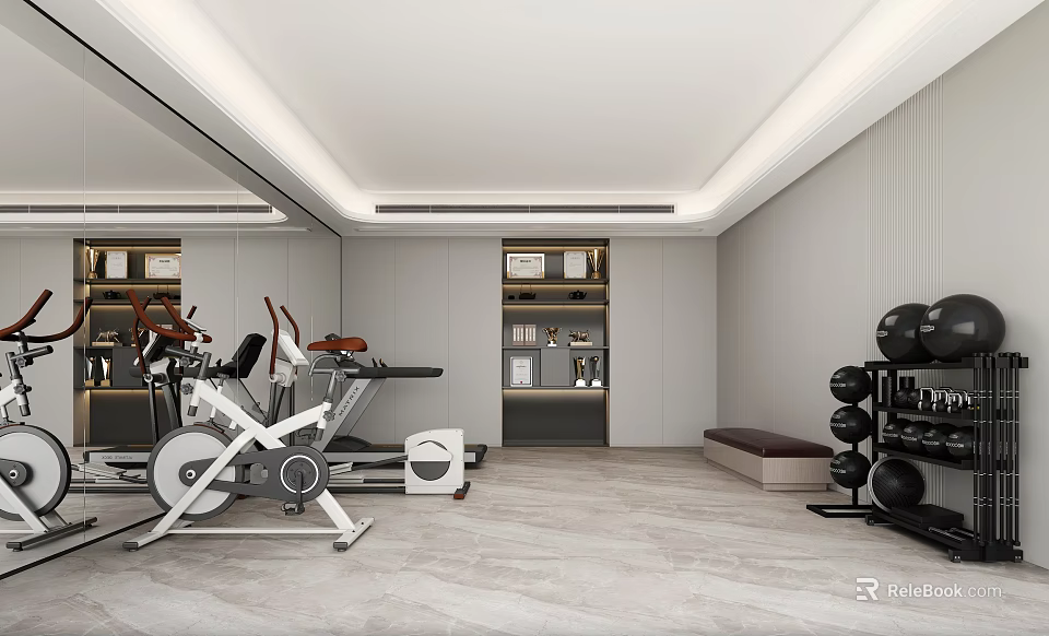 Modern Home Gym With Fitness Equipment And Mirrors 3d model 