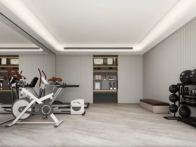 Modern Home Gym With Fitness Equipment And Mirrors 3d model