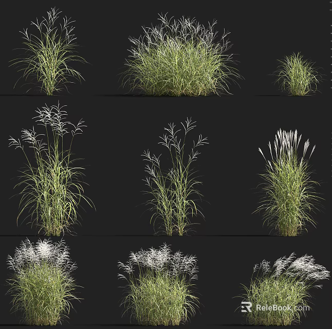 Diverse Types of Ornamental Shrubs with Various Foliage Heights and Textures 3d model 