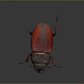 Shiny Red And Black Beetle With Dark Head And Legs On Dark Background