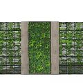 Lush Green Living Wall With Vertical Plant Design And Decorative Panels