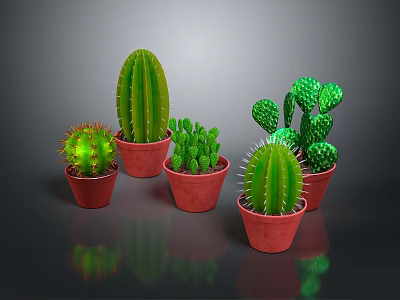 Different Shaped Cacti in Red Pots on Gray Background with Reflections 3d model