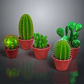 Different Shaped Cacti in Red Pots on Gray Background with Reflections