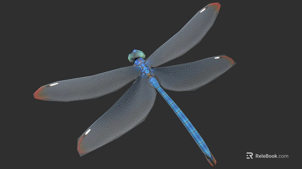 Detailed Blue Dragonfly With Green Head Transparent Wings And Orange Tipped Edges 3d model 