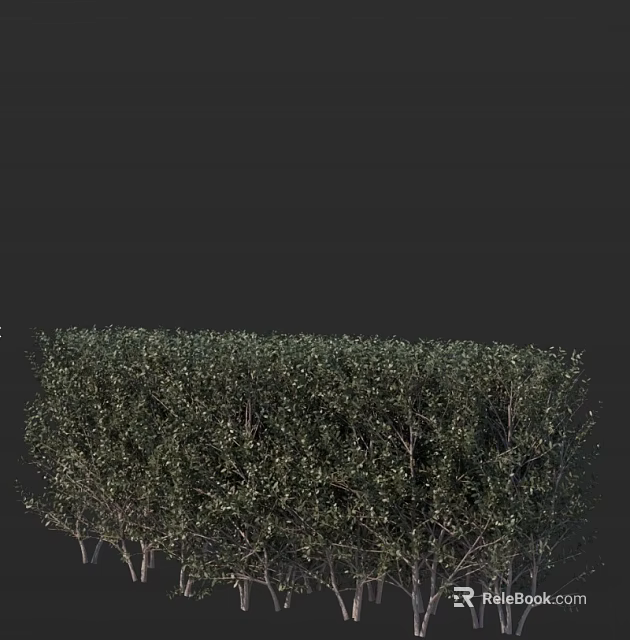 Lush Green Bush With Dense Vibrant Leaves And Fresh Foliage In Garden Landscape 3d model 