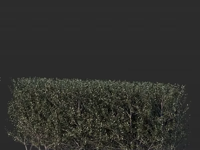 Lush Green Bush With Dense Vibrant Leaves And Fresh Foliage In Garden Landscape 3d model