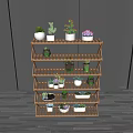 Various Potted Bonsai Plants On Wooden Multi Tiered Shelf With Dark Walls And Wooden Floor