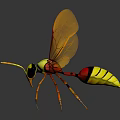 Vibrant Yellow and Red Wasp with Transparent Wings Standing on Dark Background