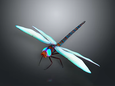 Vibrant Dragonfly With Blue Wings Colorful Eyes And Dark Body Blue Stripes 3d model