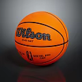 Wilson EVO NXT Official National Basketball Association Professional Sports Equipment Basketball