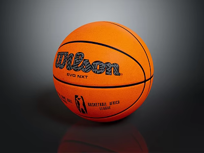 Wilson EVO NXT Official National Basketball Association Professional Sports Equipment Basketball 3d model