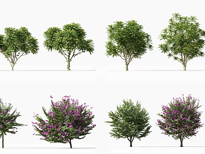 Various Types of Ornamental Trees with Green Leaves and Purple Flowers 3d model