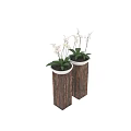 Rustic Garden Decor With Wooden Pillars White Flower Pots White Orchids And Green Leaves