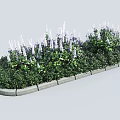 Roadside Facilities With Green Plants Purple Flowers And Concrete Curb