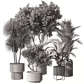 Modern Decorative Ornament Set with Various Potted Plants and Stylish Planters