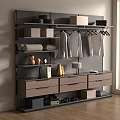 Modern Wardrobe with Metal Frame Hanging Rods Drawers and Storage Shelves 3d model