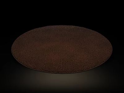 High Quality Soft Brown Round Plush Carpet For Home Floor Decor 3d model