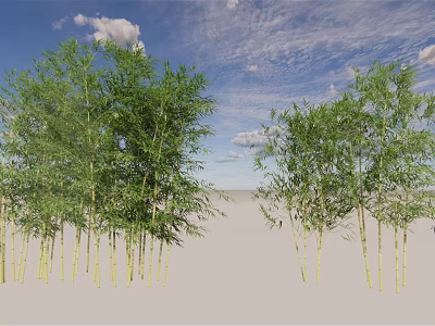 Tall Green Bamboo Plants Growing Under Blue Sky With White Clouds 3d model