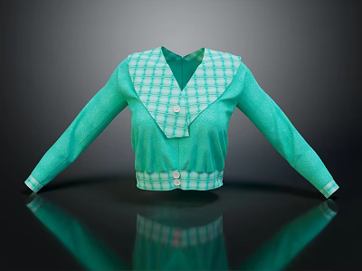Casual Green Cropped Top With Plaid Collar Long Sleeves And Buttons 3d model