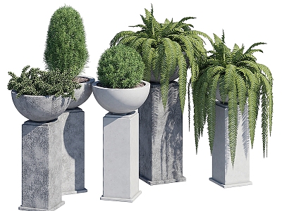 outdoor potted plant model