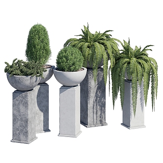 outdoor potted plant 3d model