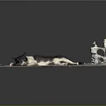 Black and White Cat Lying on Brick Pavement with Broken Cement Edges and Plastic Bottle