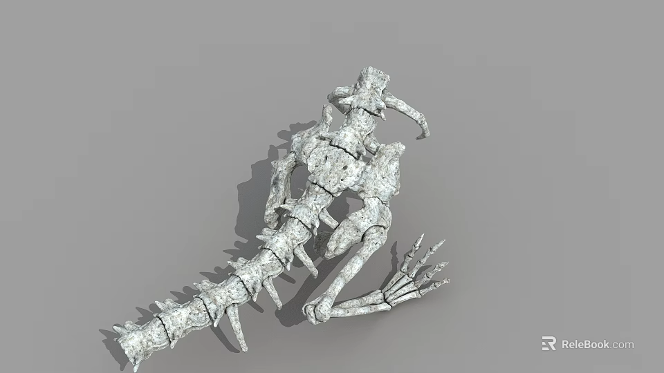 Detailed 3D Rendered Skeleton Structure With Anatomical Features And Bone Segments 3d model 