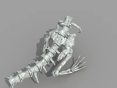 Detailed 3D Rendered Skeleton Structure With Anatomical Features And Bone Segments 3d model
