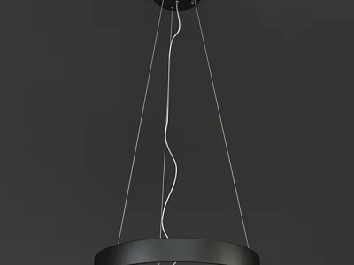 Modern Minimalist Metal Pendant Light With Circular Frame And Hanging Cables 3d model