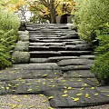 Stone Steps Path Surrounded By Green Bushes Yellow Fallen Leaves And Trees 3d model
