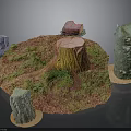 Natural Outdoor Decor Scene With Tree Stump Trunk Grass And Colorful Stones