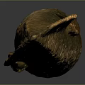 Spear Ancient Weapon Cold Weapon Medieval Item Medieval Weapon Sword Axe 3d model